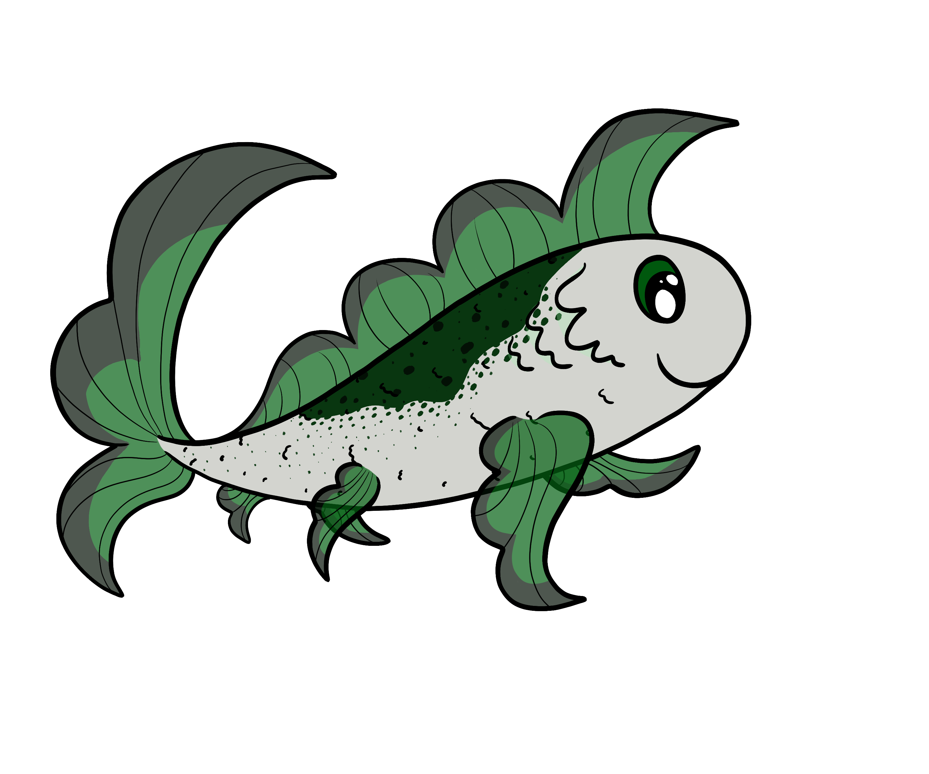 Kelp