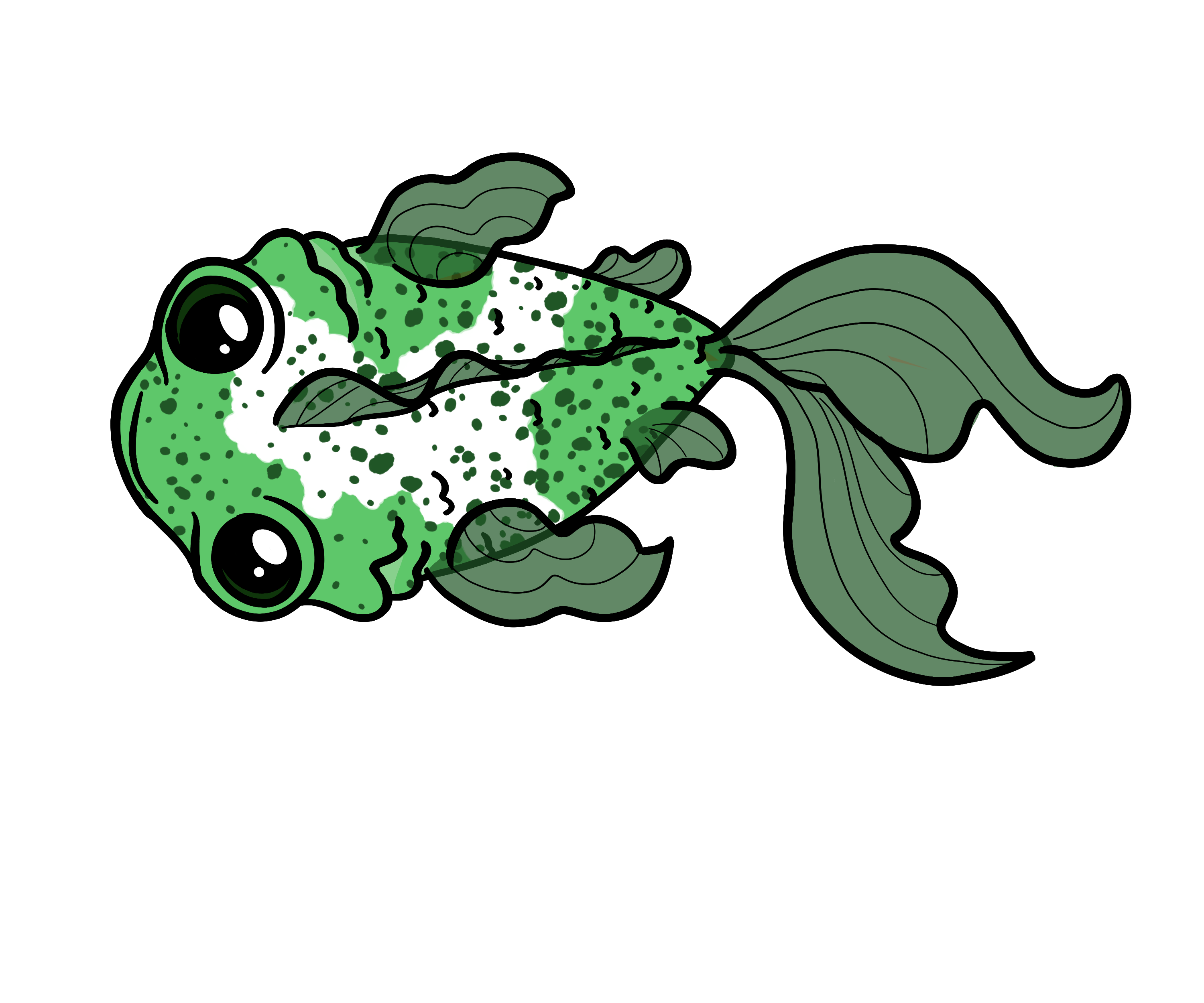 Seagrass