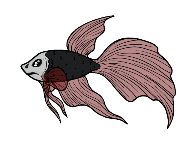 Blub