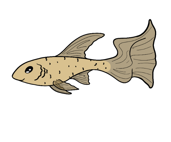 Drift Guppy