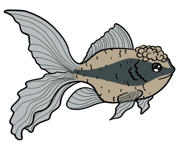 Velvet Goldfish