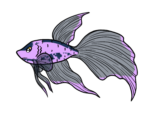 Current Silkfin