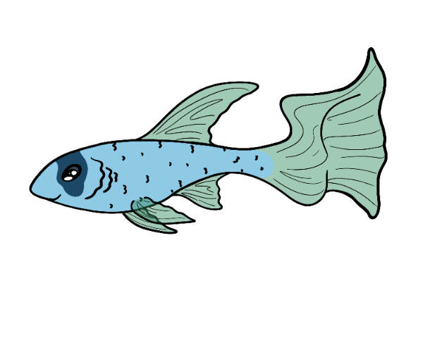 Pearl Guppy