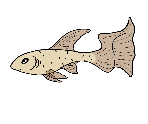 Hope Glimmerfin