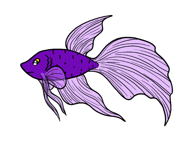 Moonlit Veilfin