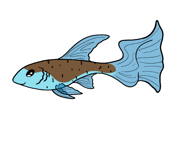 Bristle Ribbonfish