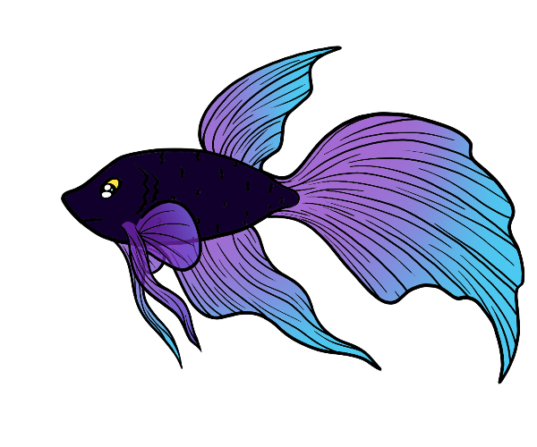 Moss Betta