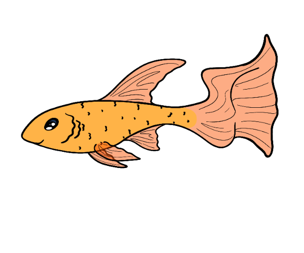 Nap Littlefin