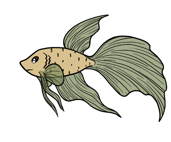 Algae