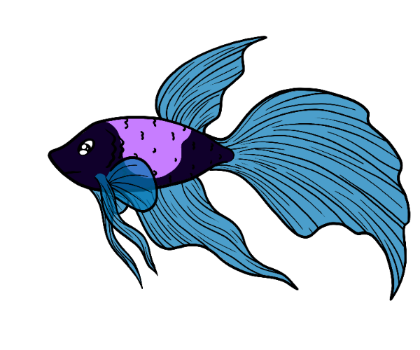 Bluey