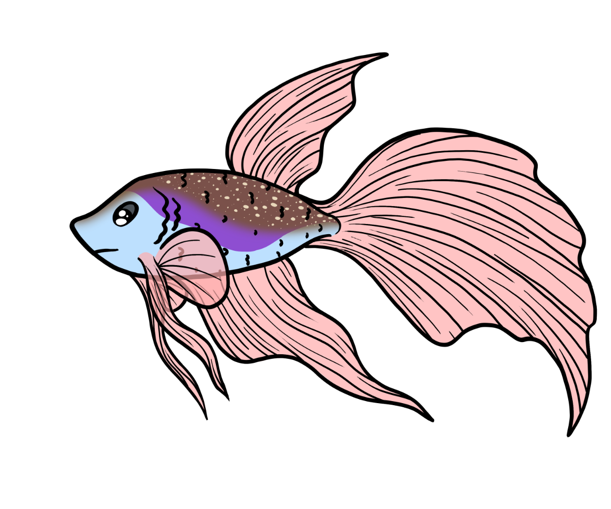 Wander Veilfin