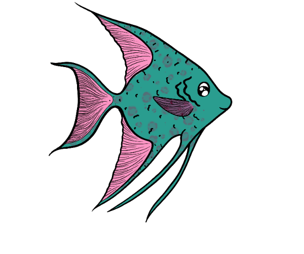 Snooze Angelfish