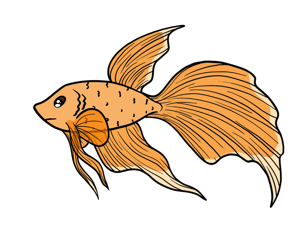 Pebble Silkfin