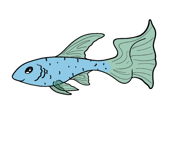 Nap Glimmerfin