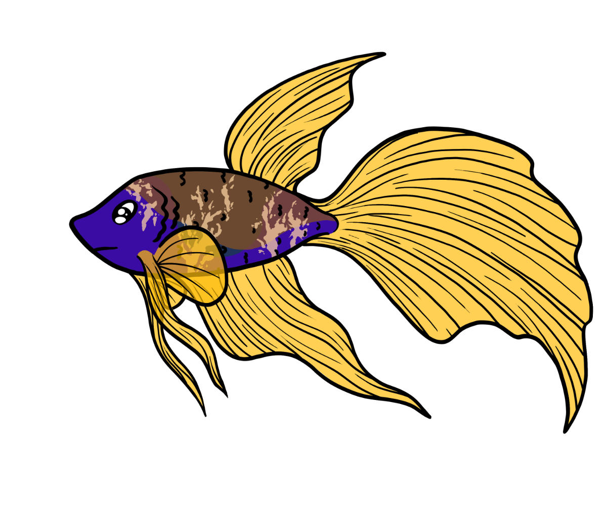 Spark Betta