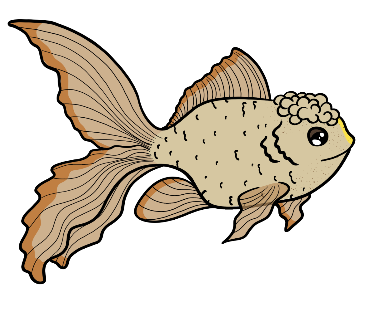 Drift Goldfish