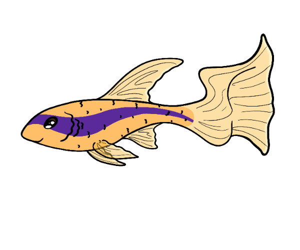 Lantern Guppy