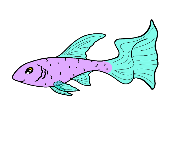 Wisp Ribbonfish