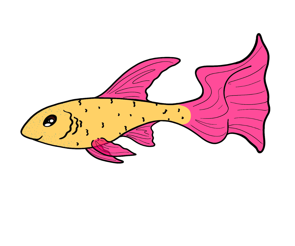 Comet Littlefin