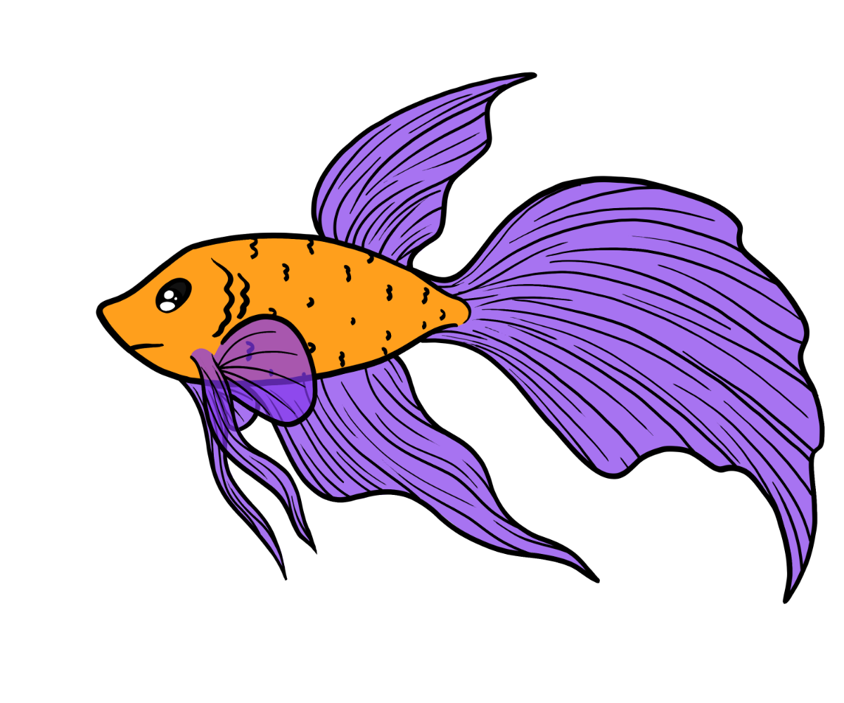 Harbor Silkfin