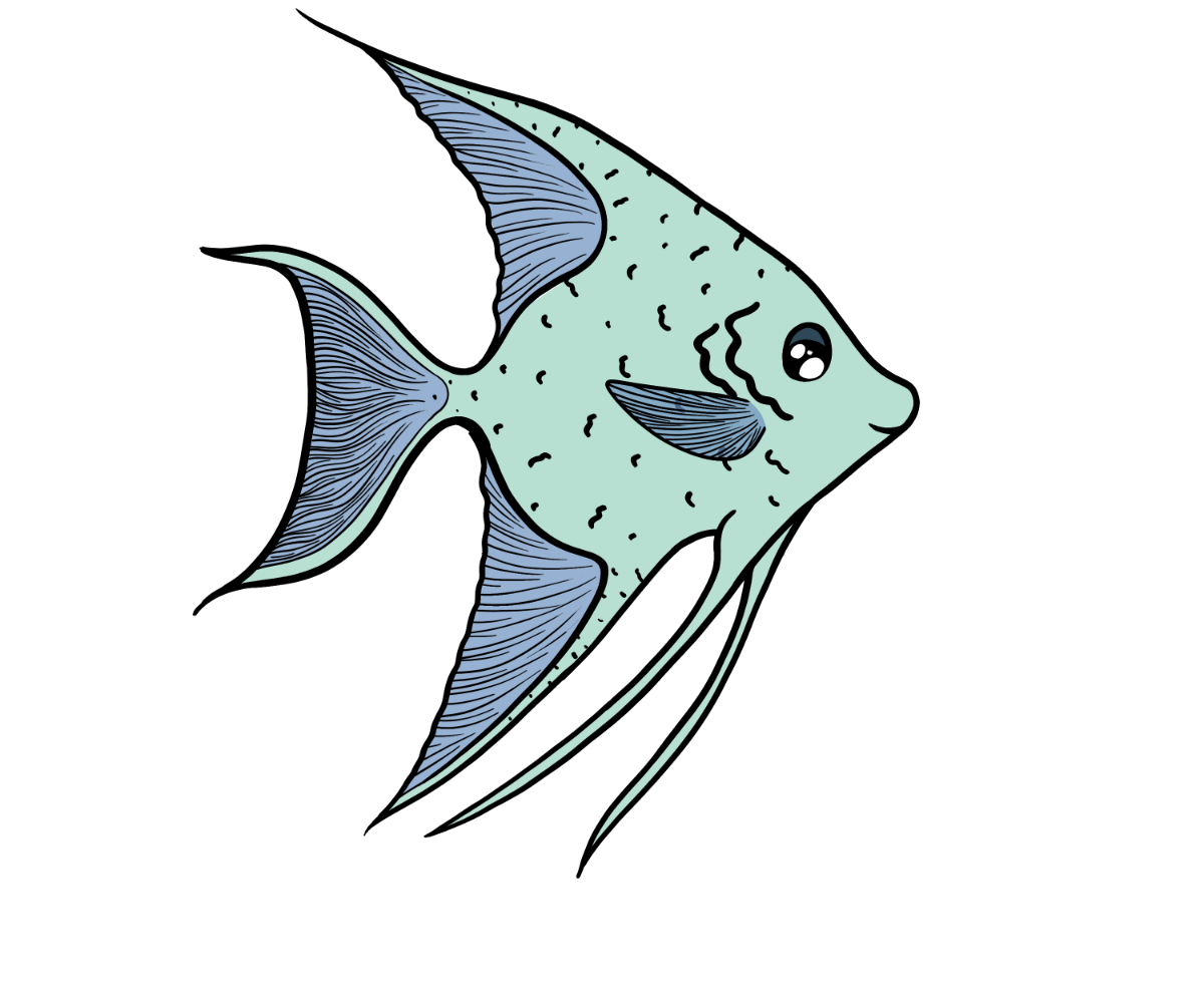 Blaze Angelfish