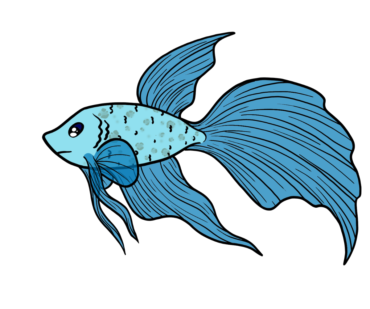 Kindle Betta