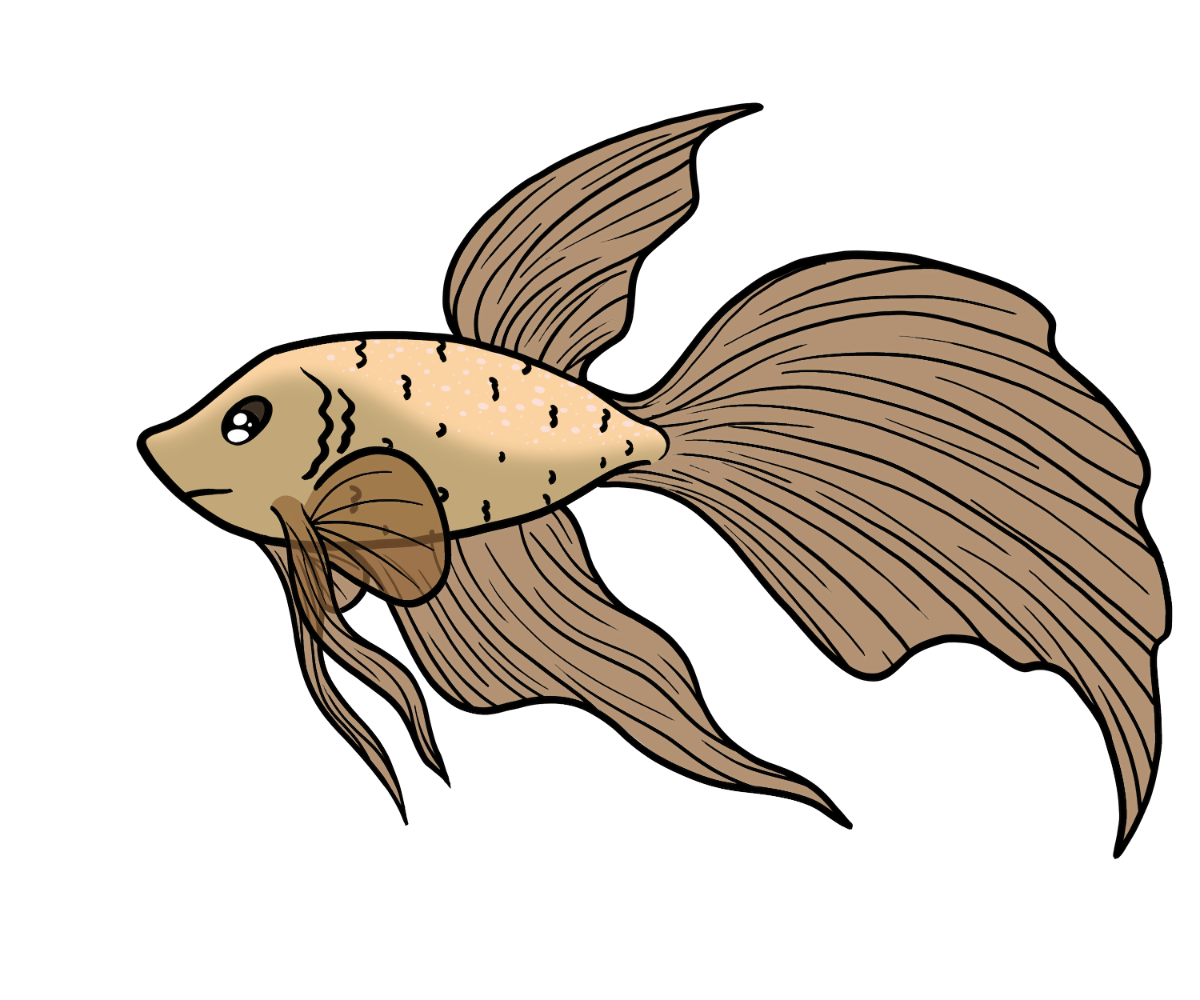 Nuzzle Silkfin