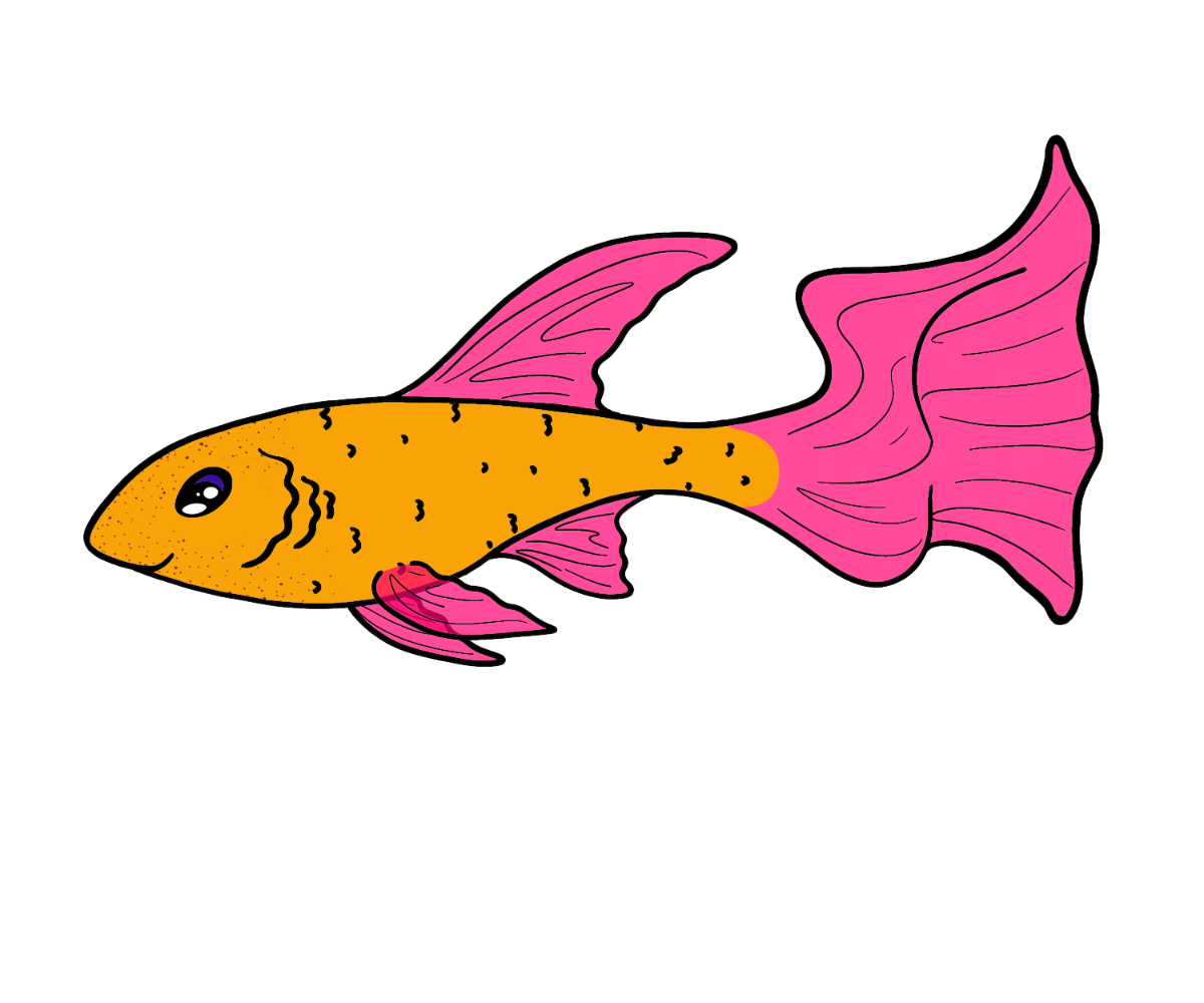 Pip Guppy