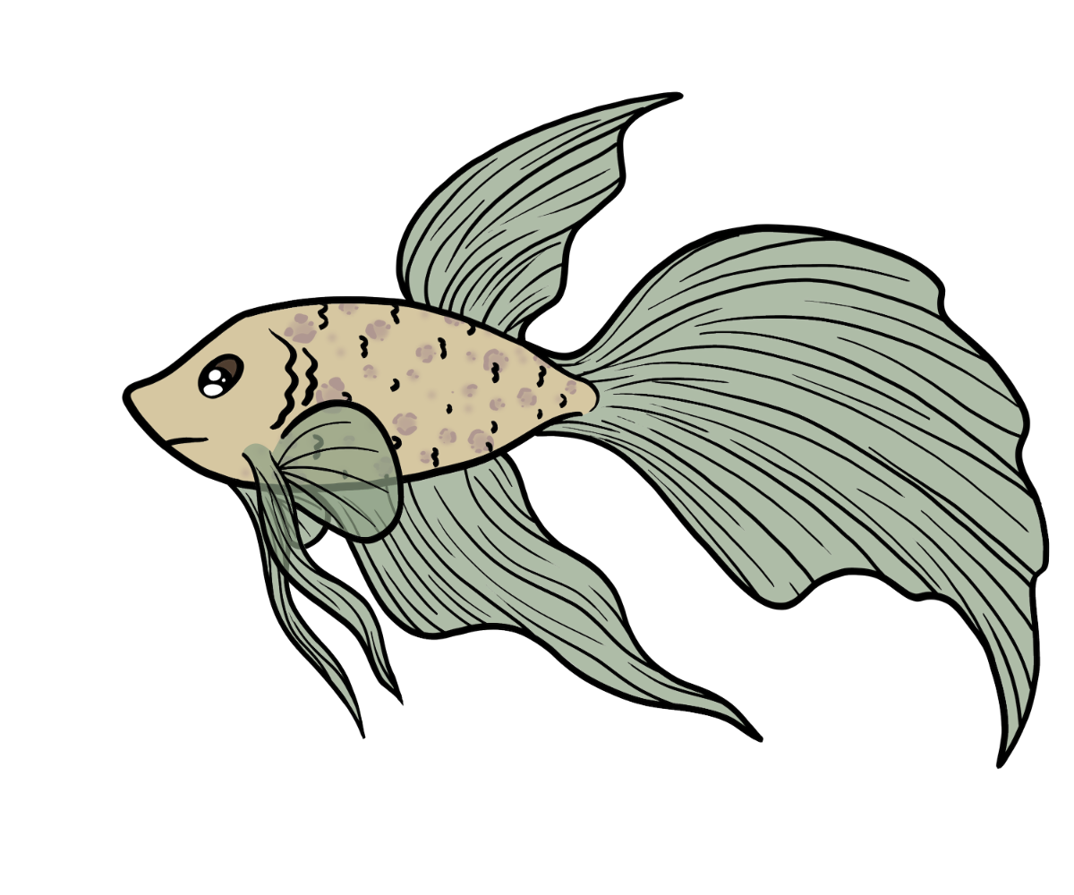 Wiggle Betta