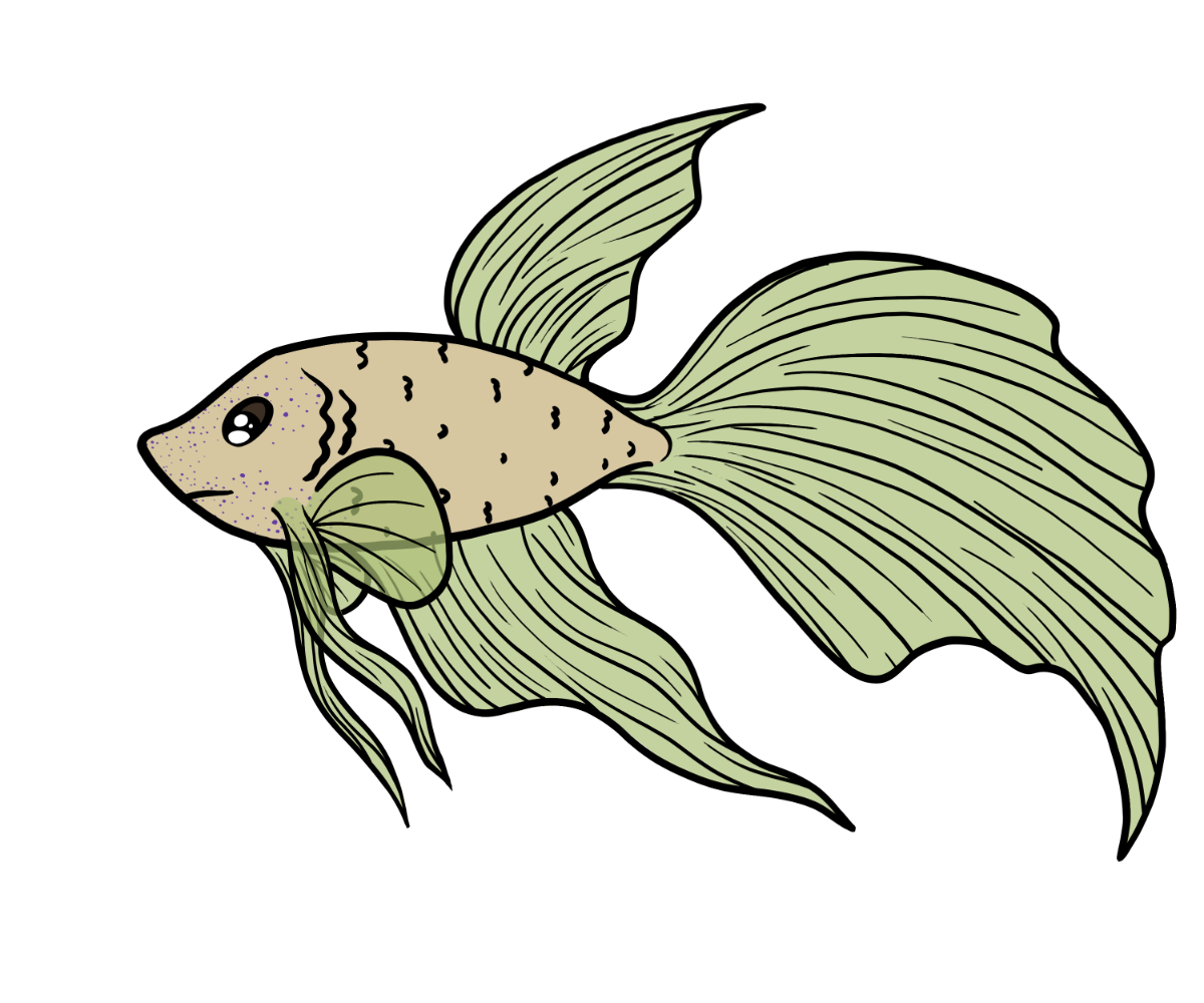 Wiggle Veilfin