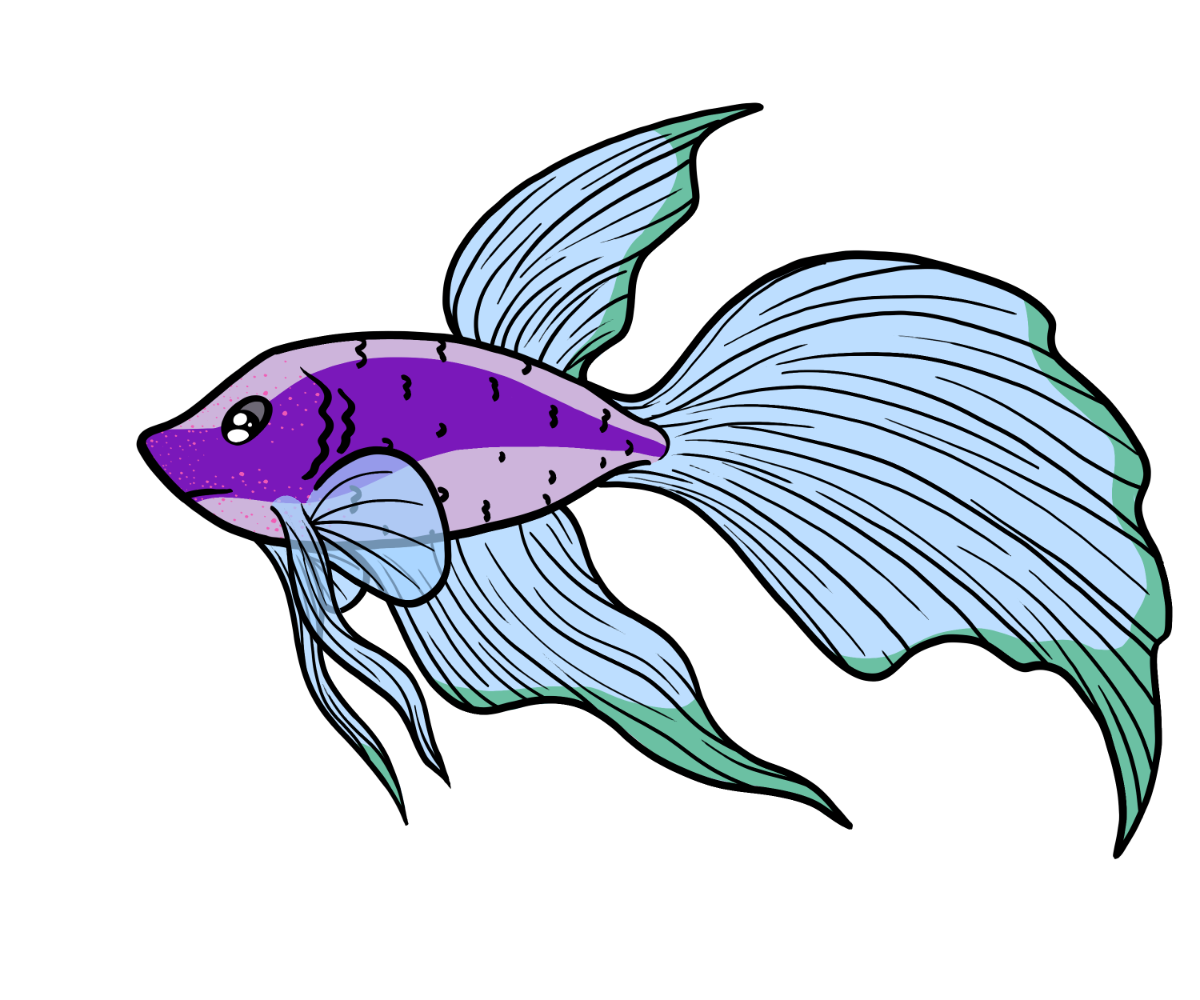 Minnow 