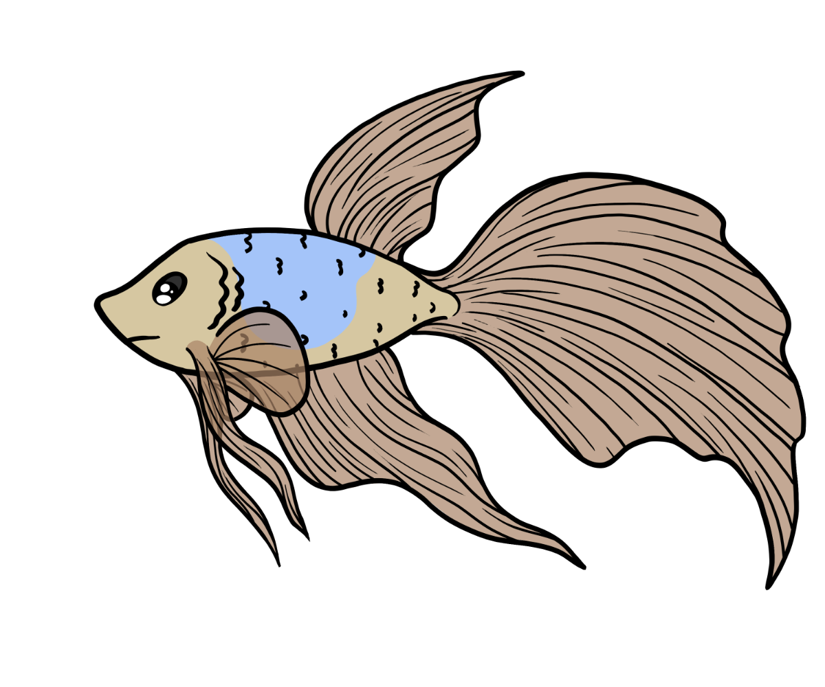 Sentinel Betta
