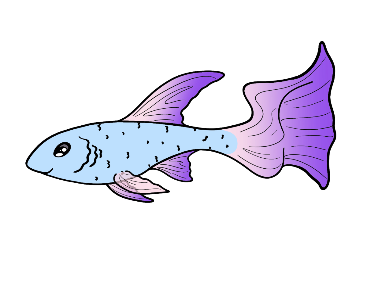 Harbor Guppy