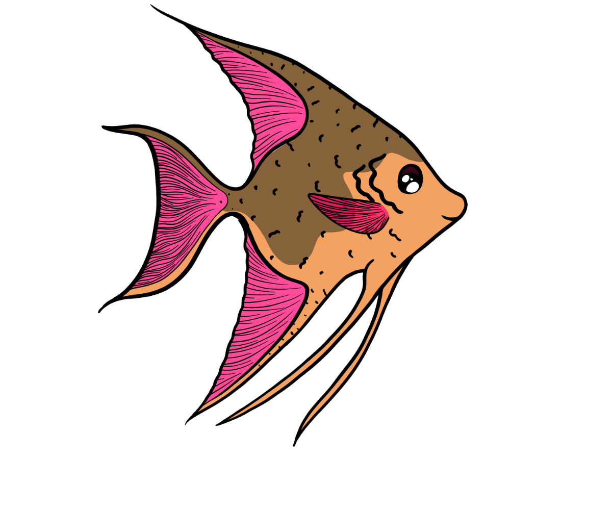 Tender Angelfish
