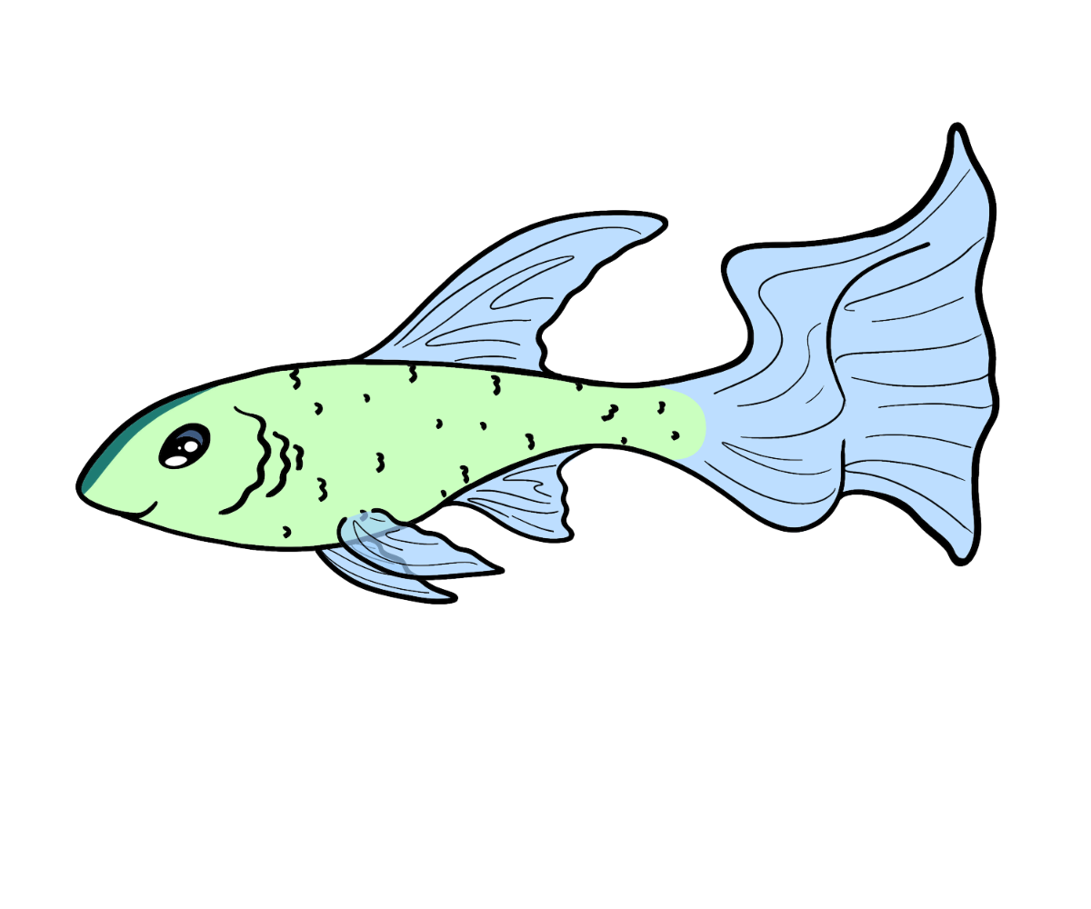 Fang Ribbonfish