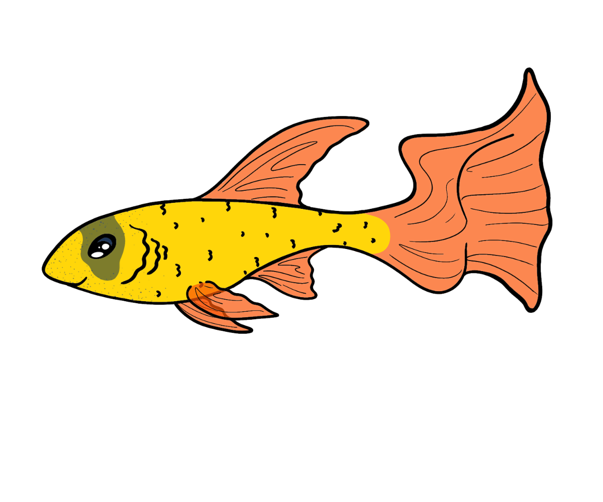Sentinel Guppy