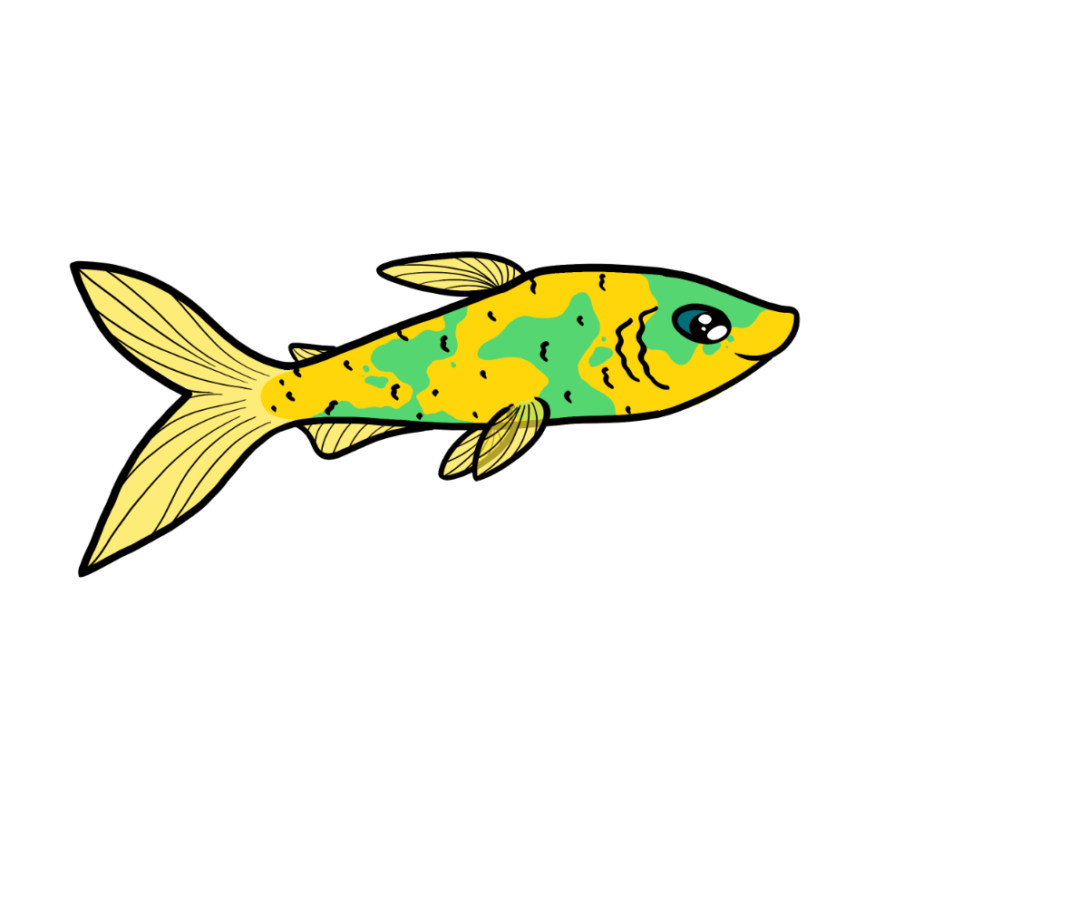Flash Streamline