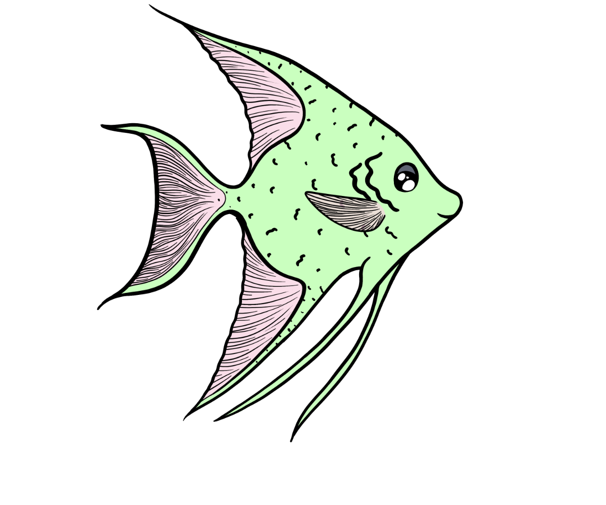 Hidden Angelfish