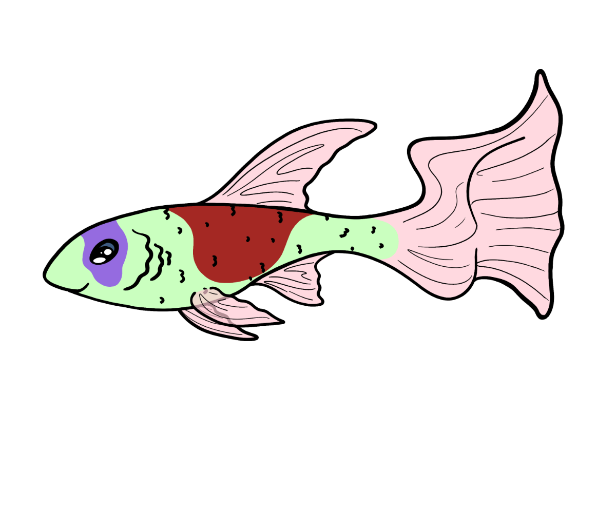 Blaze Guppy