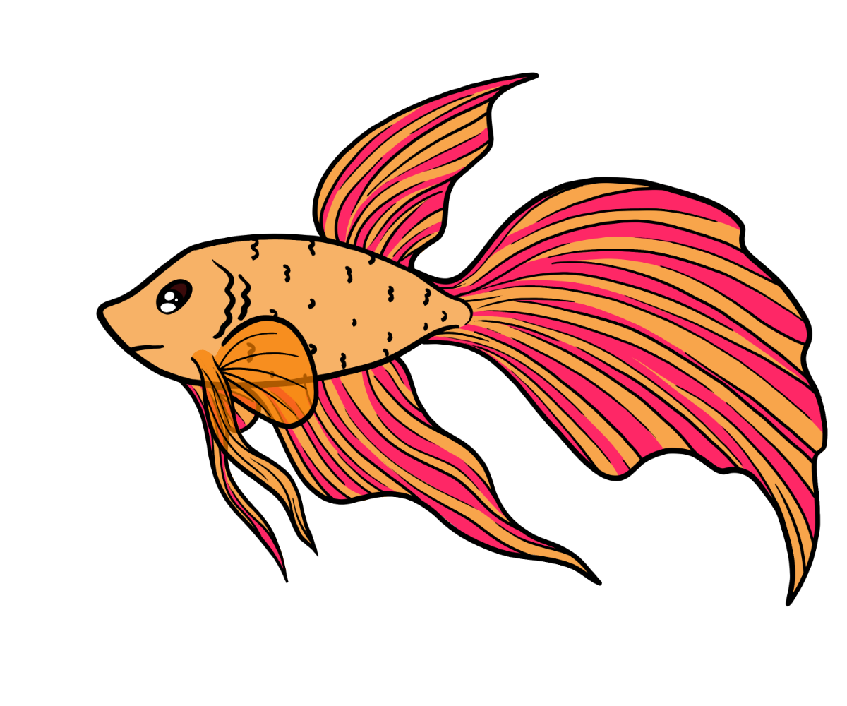 Reef Silkfin