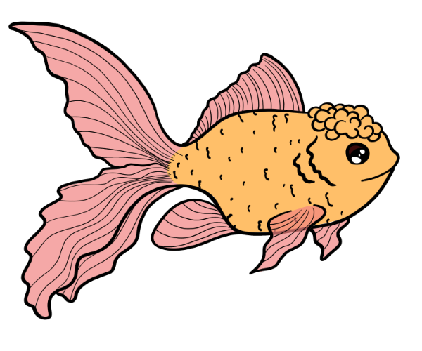 Stone Fancy Goldfish
