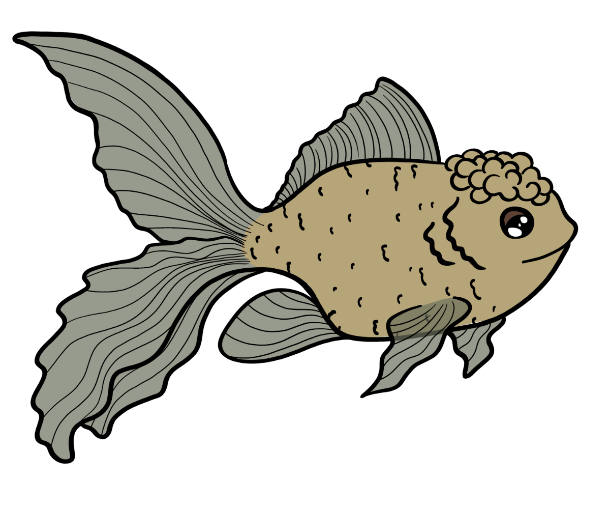 Coral Fancyfin